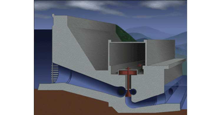 Cathy George Design Illustration