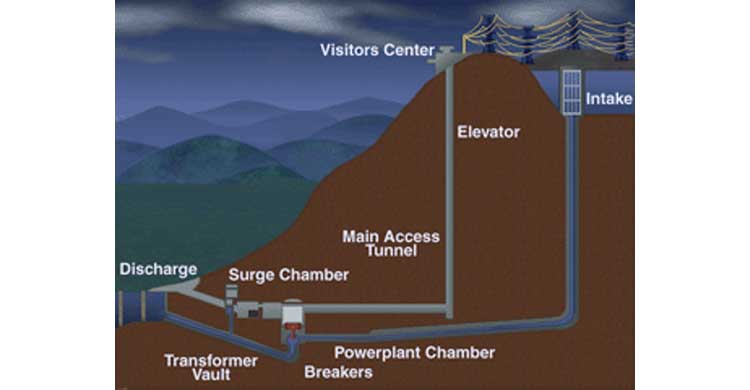 Cathy George Design Illustration